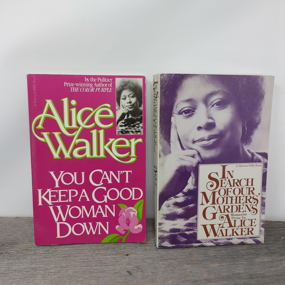 Vintage Alice Walker Books Bundle Set 1980s Harvest HBJ Paperbacks